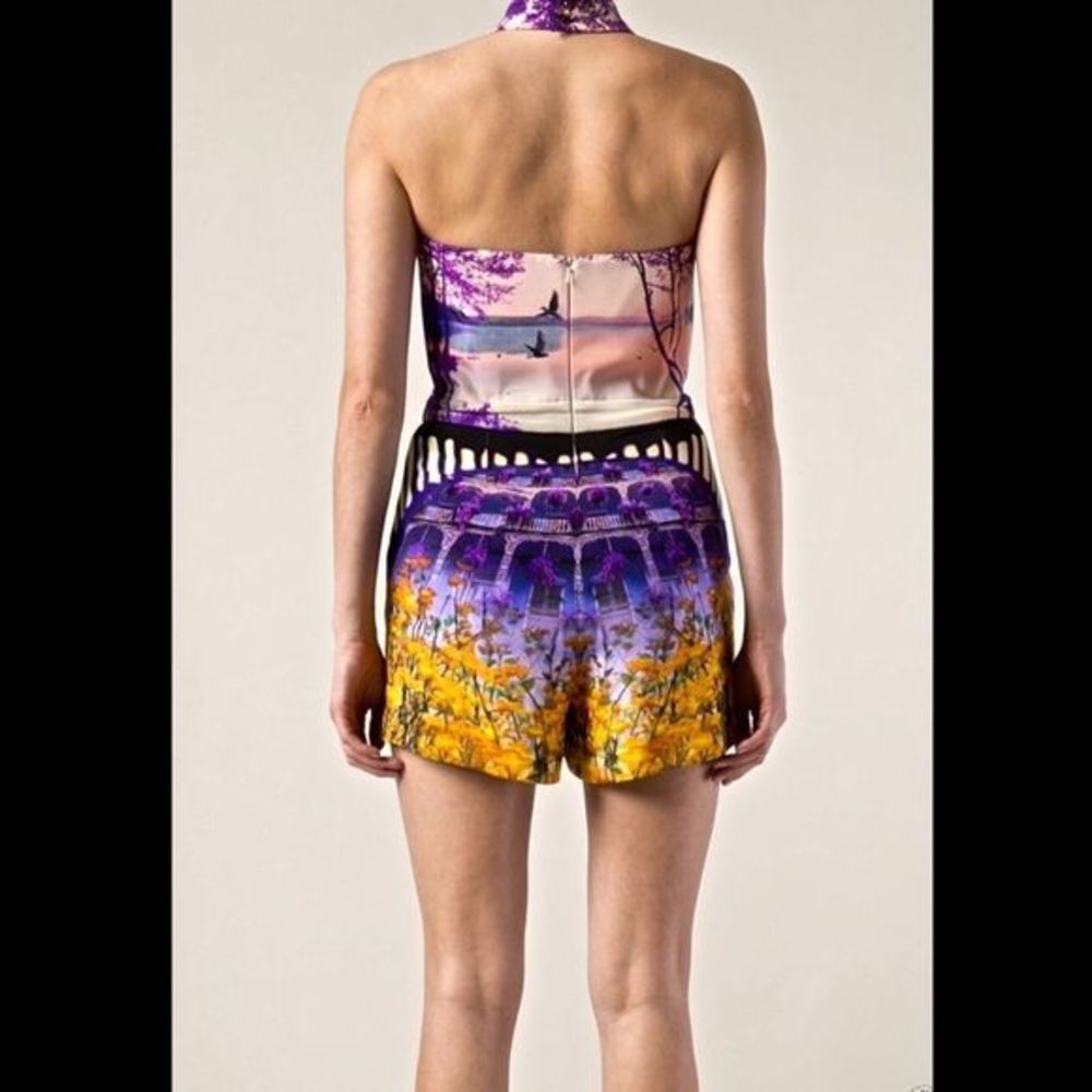 Mary Katrantzou Muti Terraflora Playsuit Romper - Picture 3 of 4